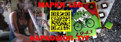 спиды Ярославль