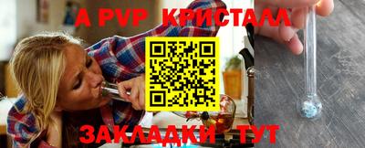 спиды Ярославль