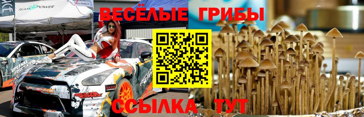 Галлюциногенные грибы MAGIC MUSHROOMS  что такое наркотик  Ртищево  Вход с VPN 