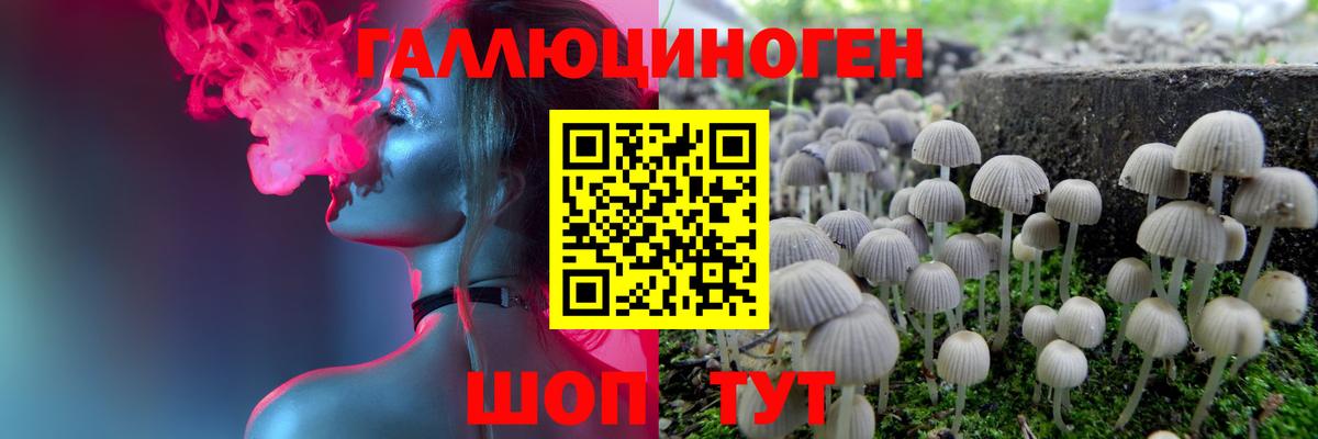 Галлюциногенные грибы Magic Shrooms Ртищево